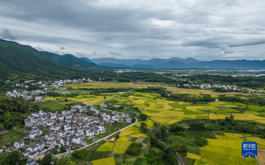 www.1005.cm金沙